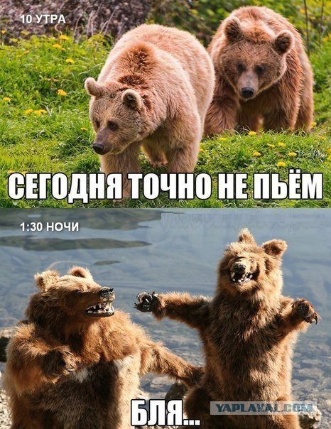Картинки на пятницу