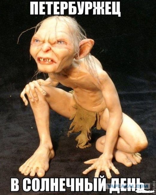 Подборка веселых картинок