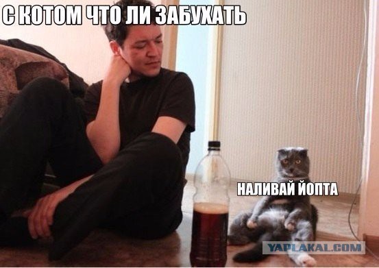 Подборка предновогодних картинок и не только