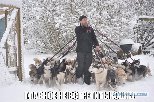 Подборка прикольных картинок