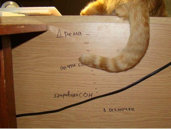 Разные картинки