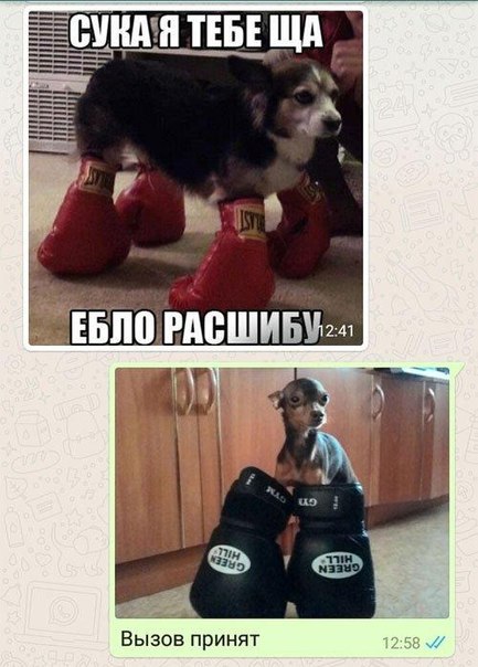 Картинки на утро вторника
