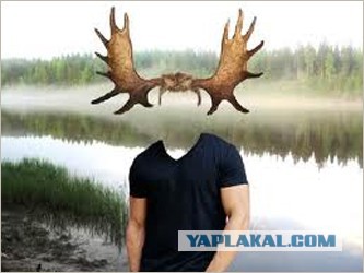 "О вреде языкознания" или рогоносец