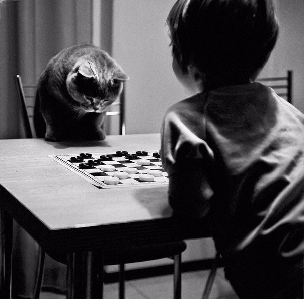 Подборка картинок на среду