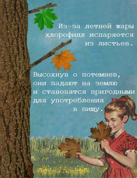 Абсурдный юмор ч. 23