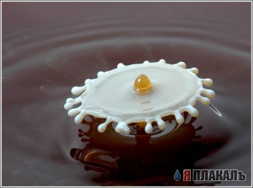 Красивые фотографии. Стоп-кадр