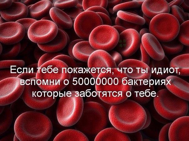 Подборка частицы смеха...
