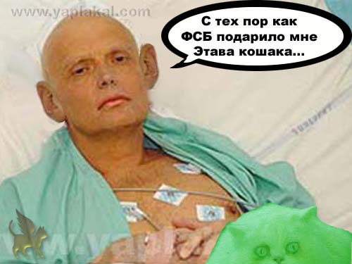 Барсик и Кеша (жесть)