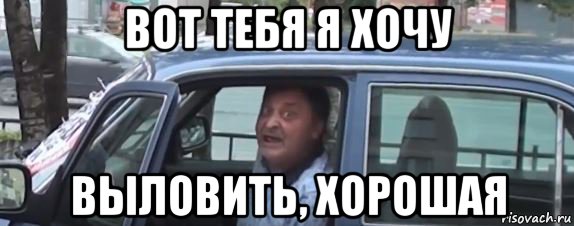 СтопХамСПб - На сегодняшний день