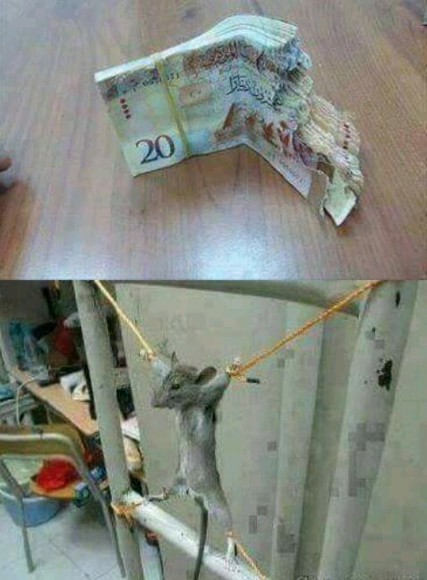Немножко картинок
