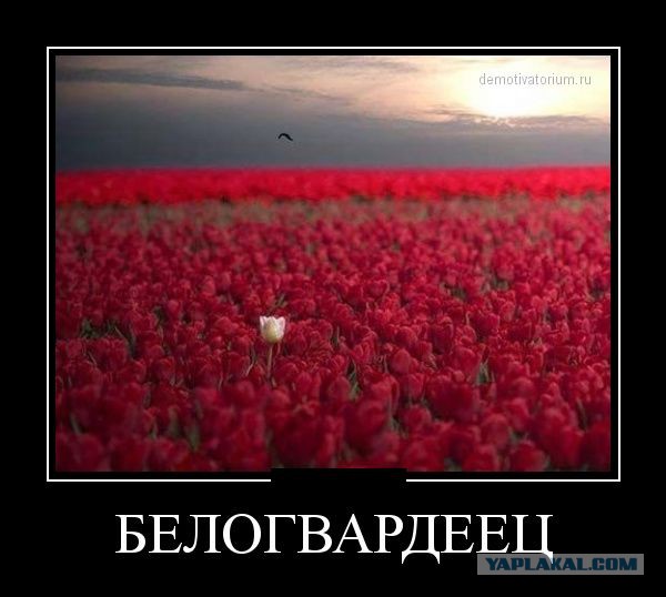 От тайги до Британских морей: Почему все-таки красные победили белых?
