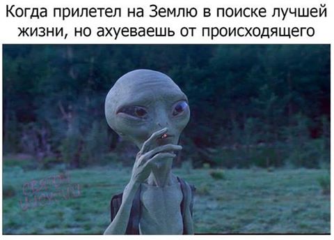Черный юмор (Black Humor)