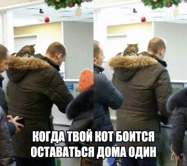 Подборка безудержного веселья