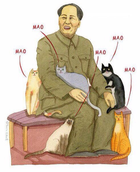Юмор для всех