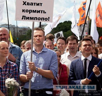 Смешные комментарии из социальных сетей 17.02.2016