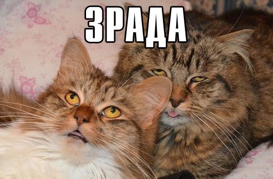 что то пошло не так.