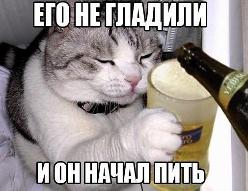 Немного деграданса - 4