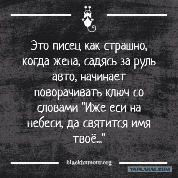 Жена учится сдавать на права...