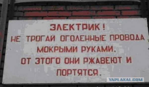 Ничего себе работа! Сколько же им платят за это?!