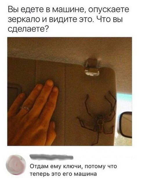 100 картинок для поднятия настроения!