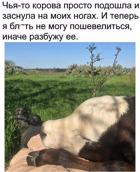 Нестандартный юмор