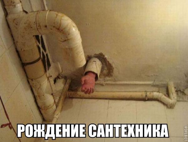 Тупик эволюции