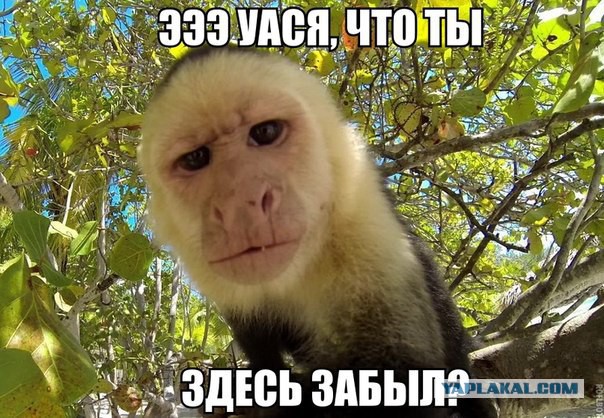 10 высказываний Сергея Мавроди о деньгах, законе и себе