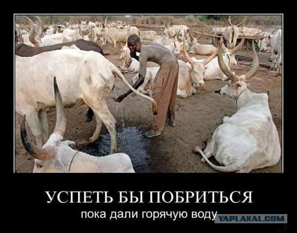 Свежие фотокарточки из Африки