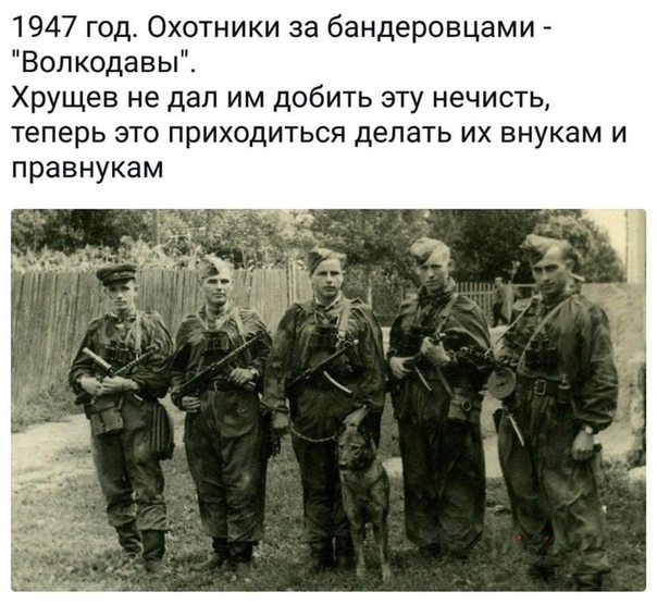 Ветеран СМЕРШ о бандеровцах: палачей нам добить не дали
