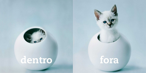 Котовторник