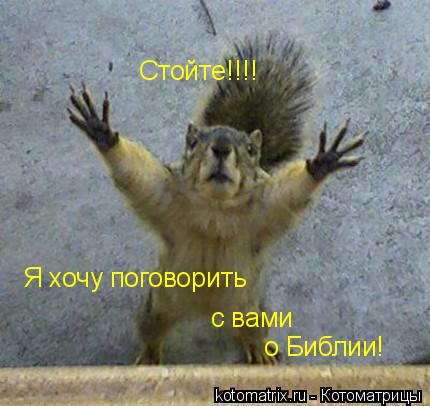 Просто белочка