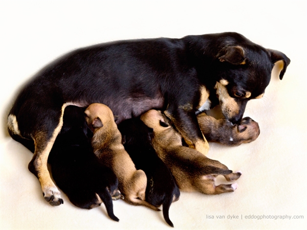 Чудо под названием жизнь!