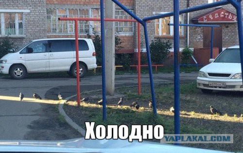 Разные по свежести картинки. Опять