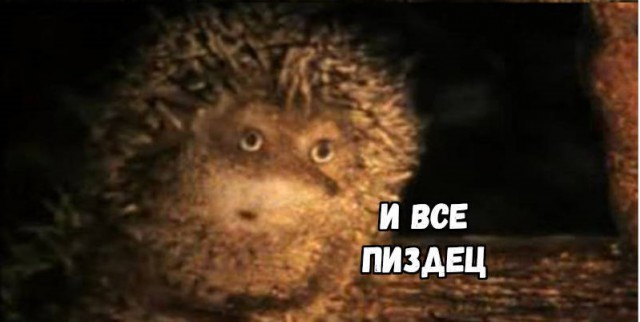 Ученые обнаружили возможные следы предыдущей Вселенной