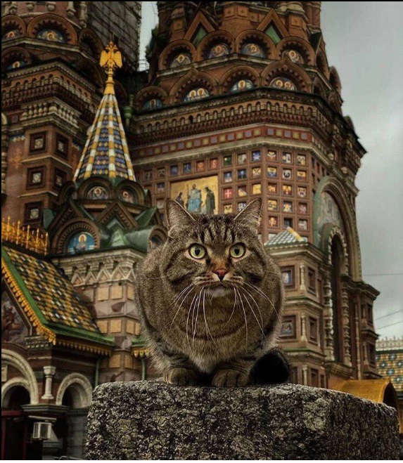 Неудачная охота