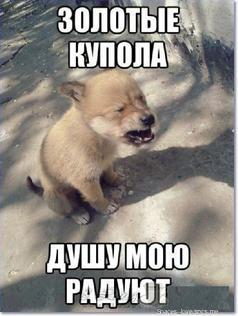 После 50-ти мужчине лучше без жены?