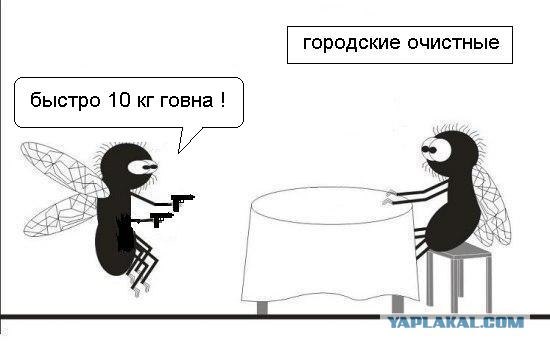 Фотожаба: веселые картинки