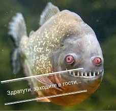 У неё получилось