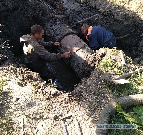 Та еще работенка: подборка фотографий для тех, кому надоело сидеть в офисе