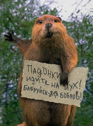 Олбанский язык