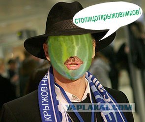 Фотожаба: крыжовник