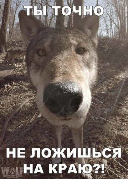 Пятый слой