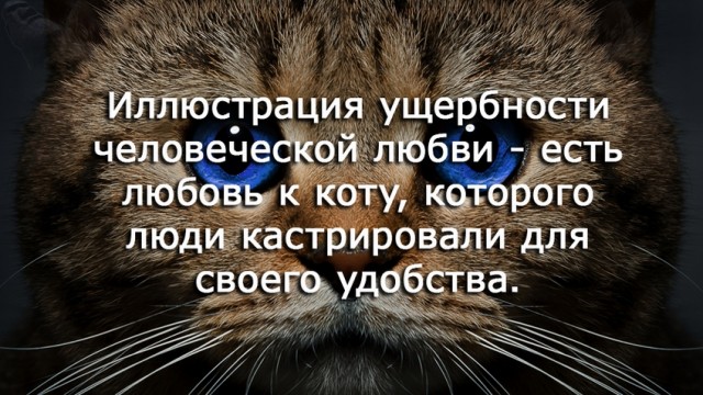 Картинки и мемы для настроения 003