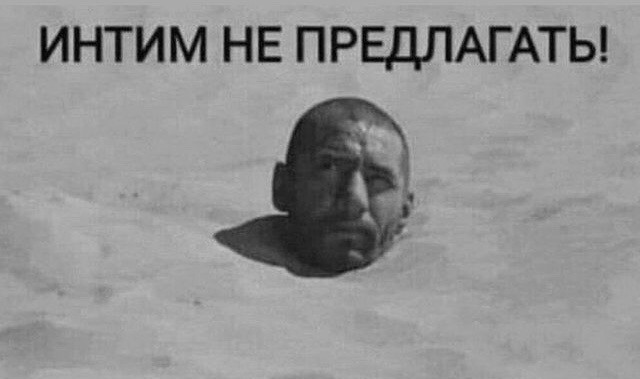 Весёлый полтишок 09.10
