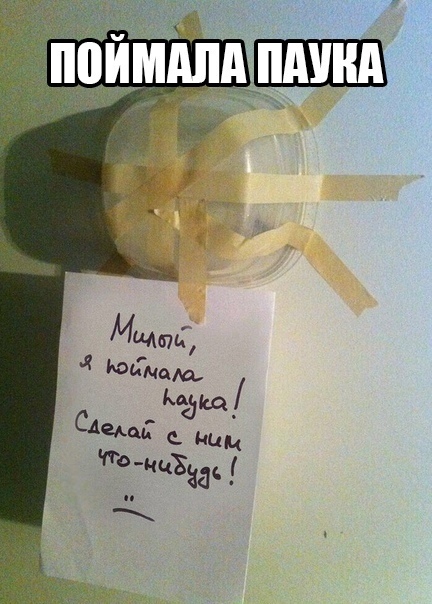 Так себе картинки 10.05.22