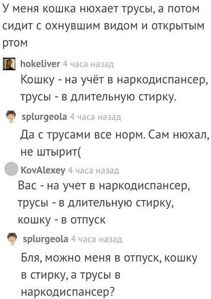 Пятница. Вечер. Картинки всякие #12