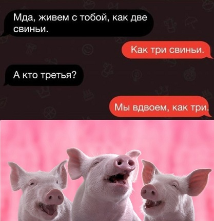 Новый ЗОЖ