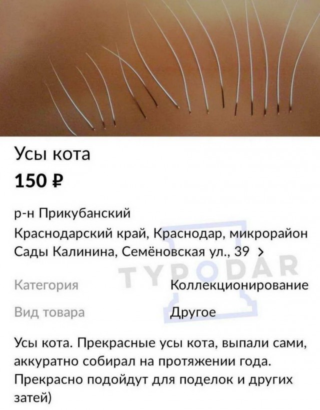 Народная меДИЧина 8.08