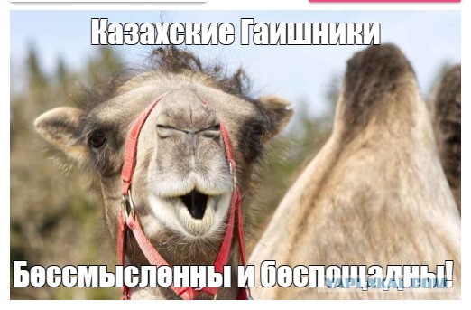 В Казахстане полицейский случайно убил напарника, протащив его с зажатой головой в двери