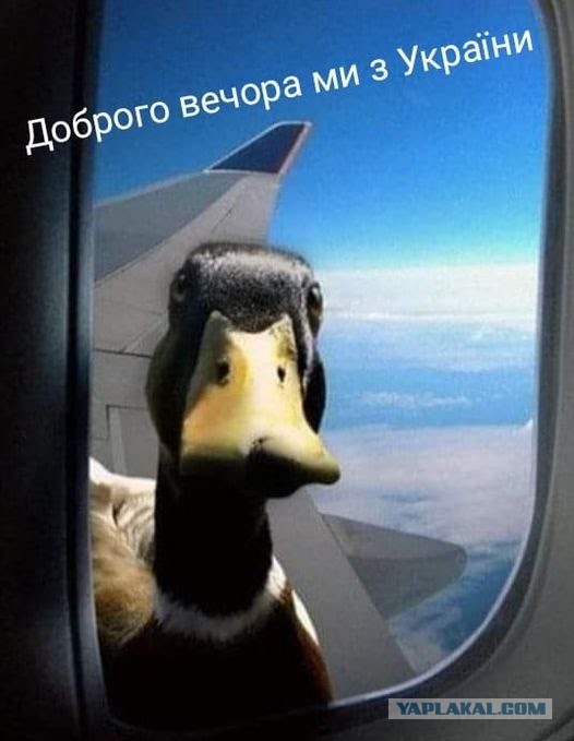 Момент крушения Су-34 в Ейске